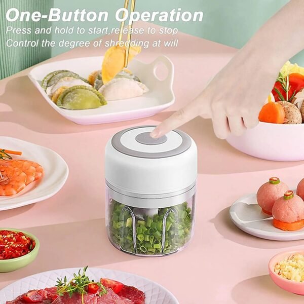 Mini Electric Kitchen Food Chopper - UnclExpress