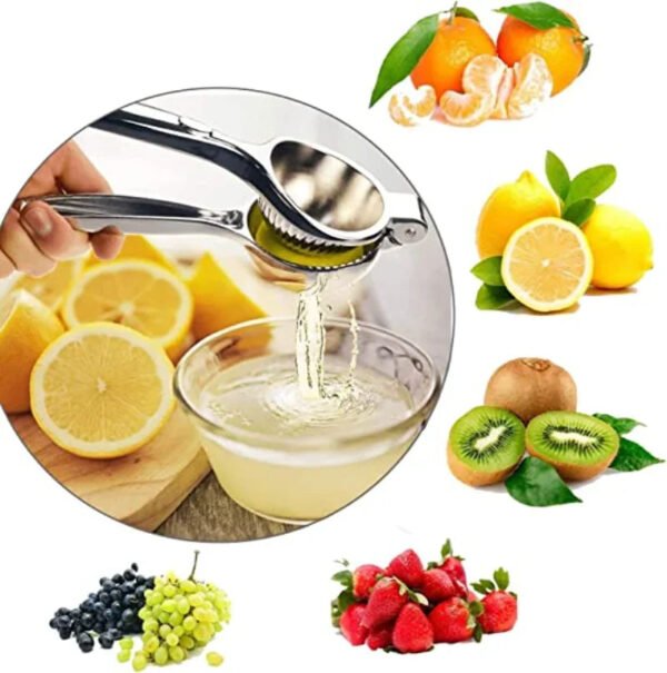 Stainless Steel Manual Juicer Processor - UnclExpress